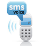 sms voice