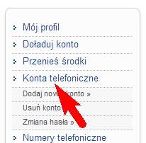 panel - konta telefoniczne